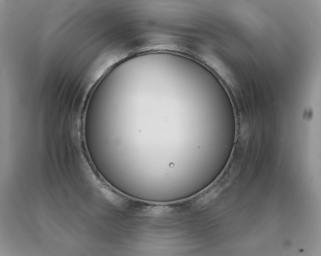 X0000091061282200708061235