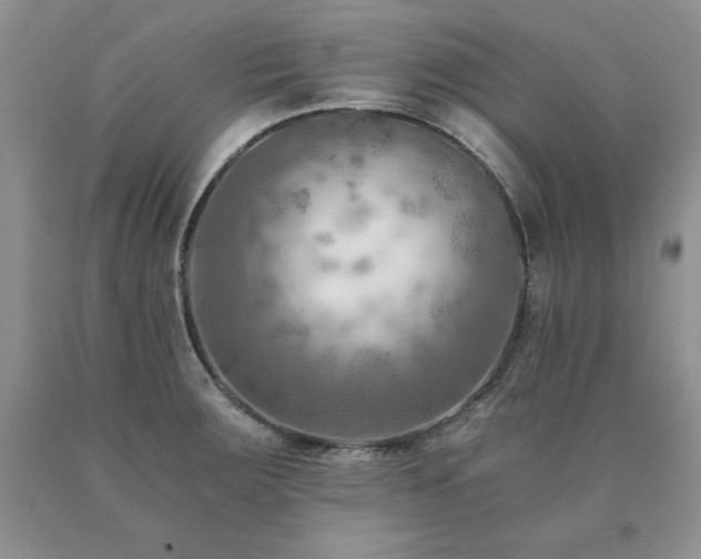 X0000091061283200708061235