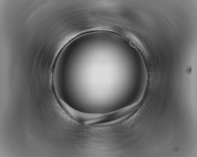 X0000091061284200708061235