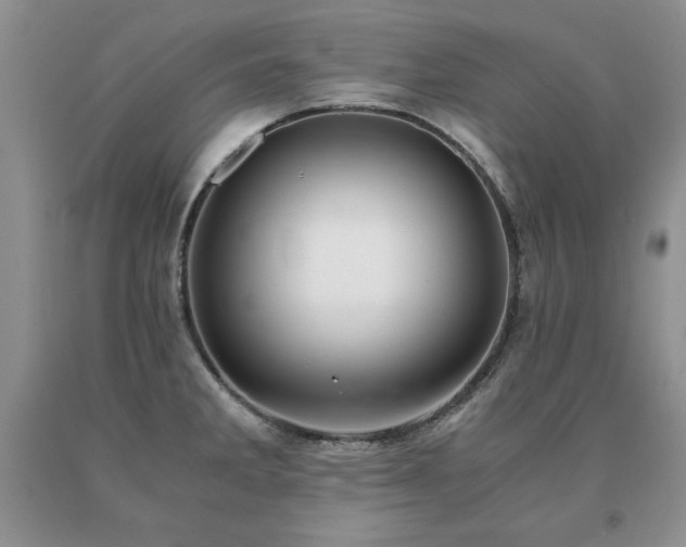 X0000091061285200708061234