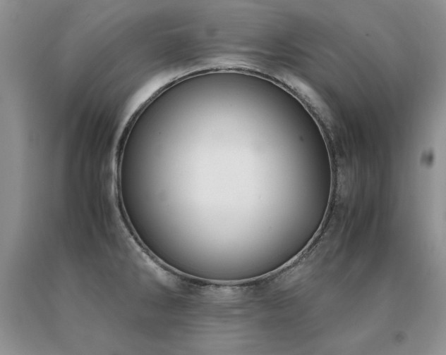 X0000091061286200708061234
