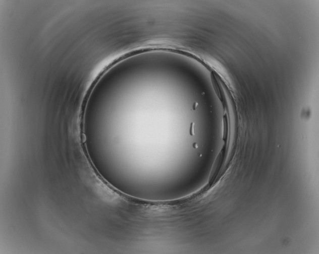 X0000091061288200708061234