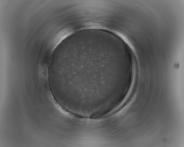 X0000091061289200708061234