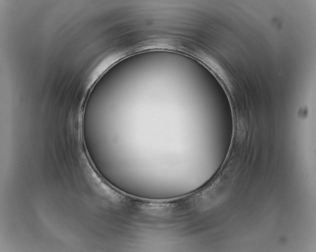 X0000091061290200708061234