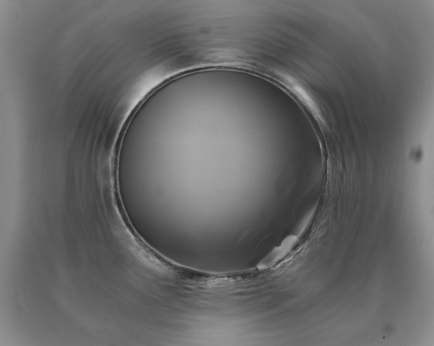 X0000091061291200708061234