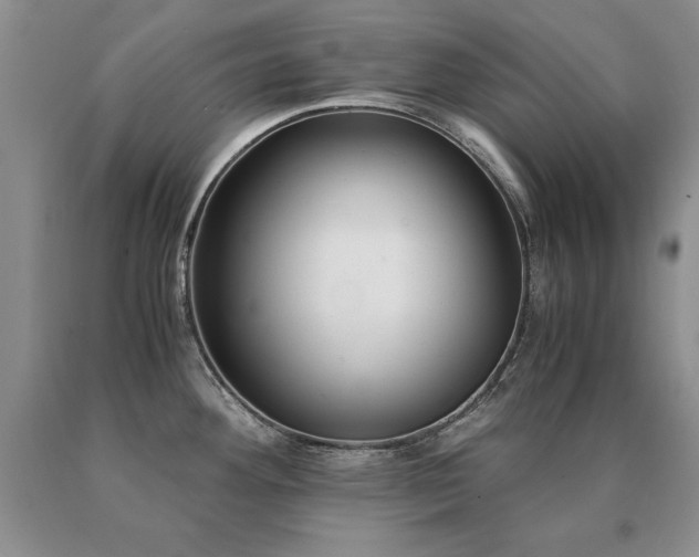 X0000091061292200708061234