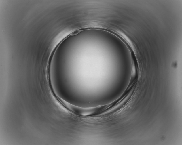 X0000091061293200708061234