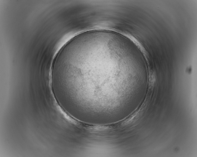 X0000091061294200708061234