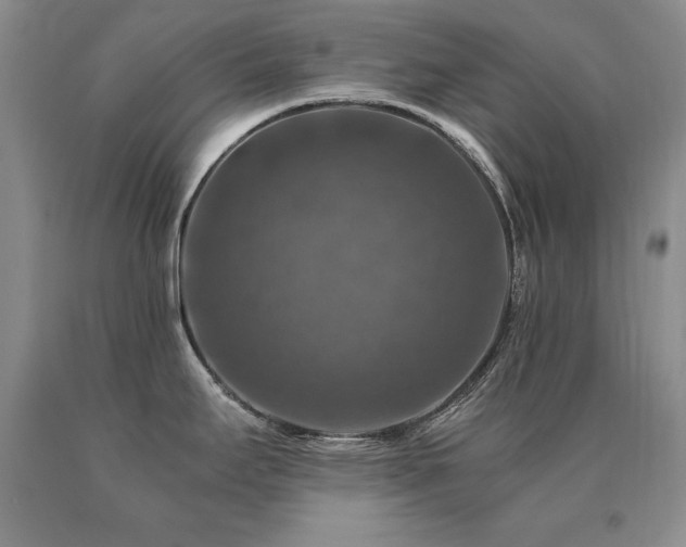 X0000091061295200708061234