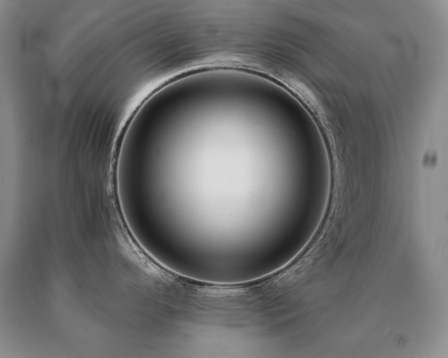 X0000091061296200708061234
