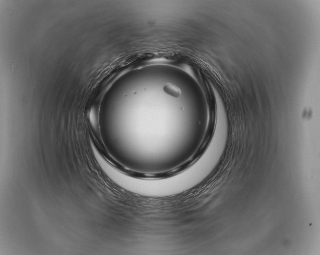 X0000091061298200708061234
