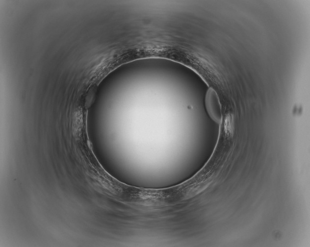 X0000091061299200708061234