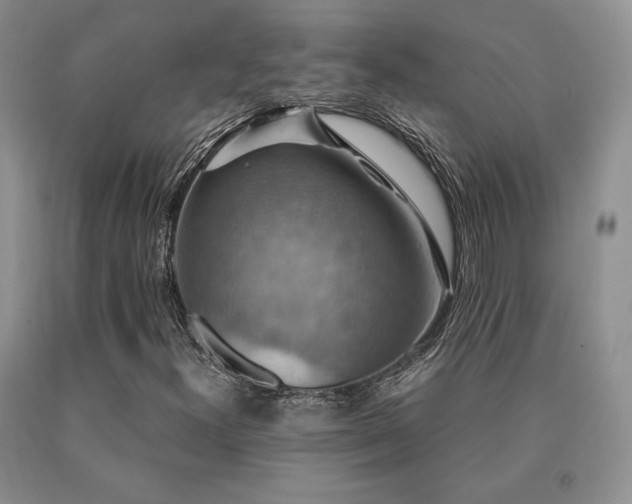 X0000091061300200708061234