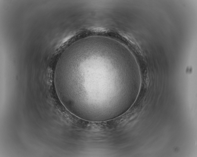 X0000091061301200708061234