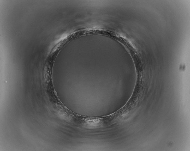 X0000091061303200708061234