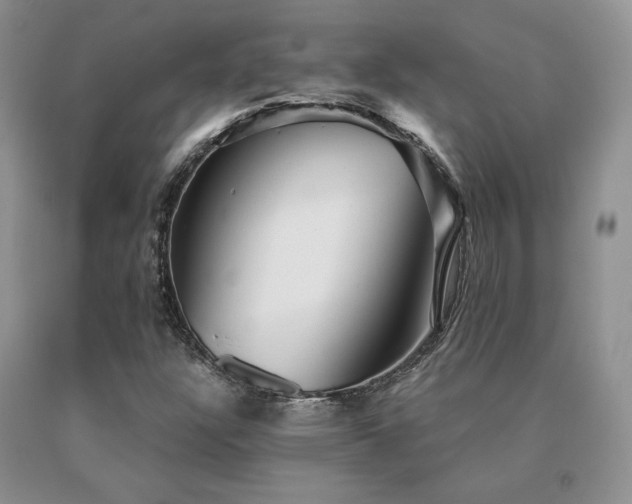 X0000091061304200708061234