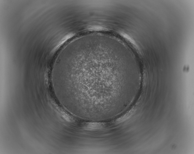 X0000091061305200708061234