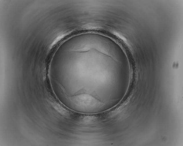 X0000091061306200708061234