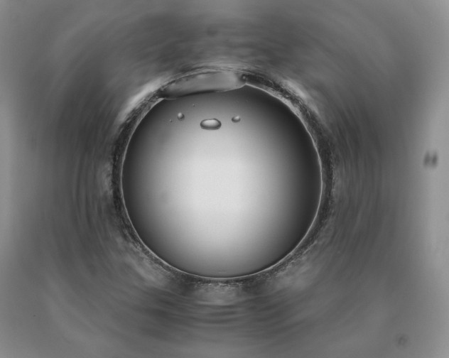 X0000091061307200708061234