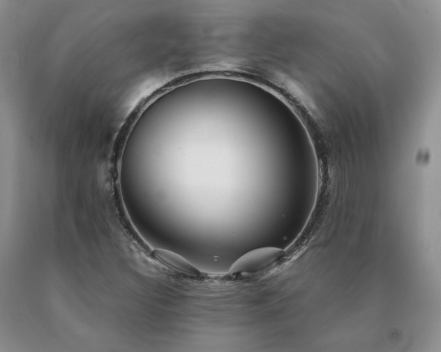 X0000091061308200708061234