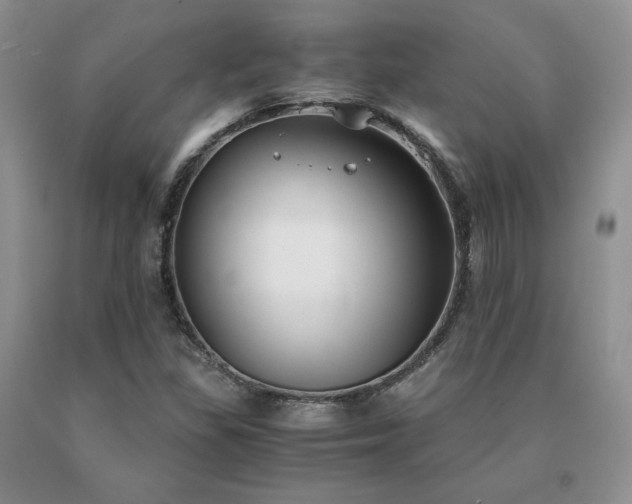 X0000091061309200708061234