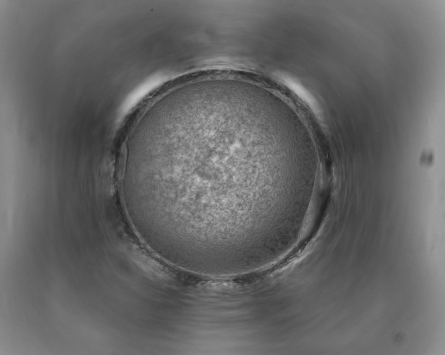 X0000091061310200708061234