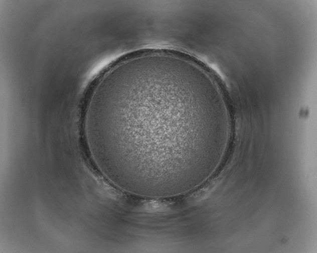 X0000091061311200708061234
