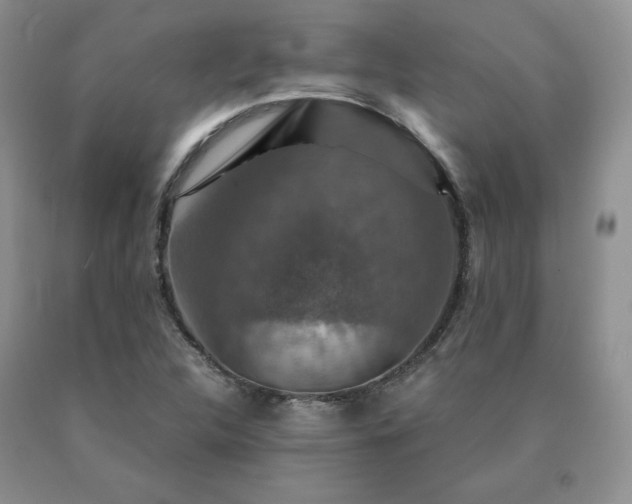 X0000091061312200708061234
