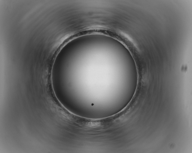 X0000091061313200708061234