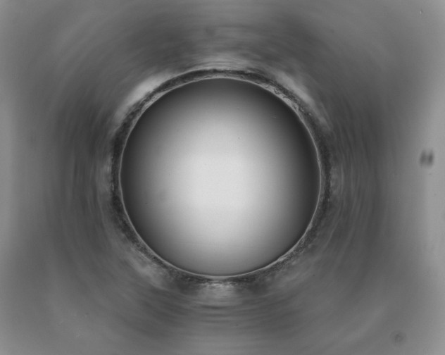 X0000091061315200708061234