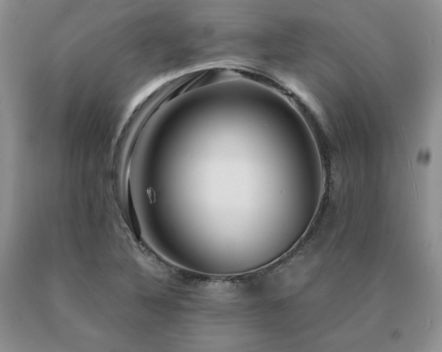 X0000091061316200708061234