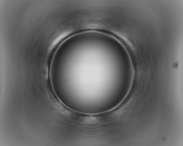 X0000091061317200708061234