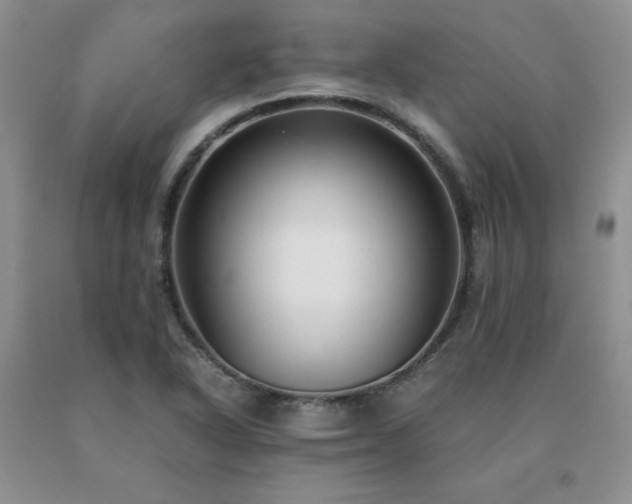 X0000091061318200708061234