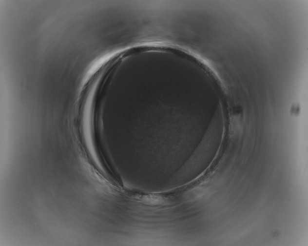 X0000091061319200708061234