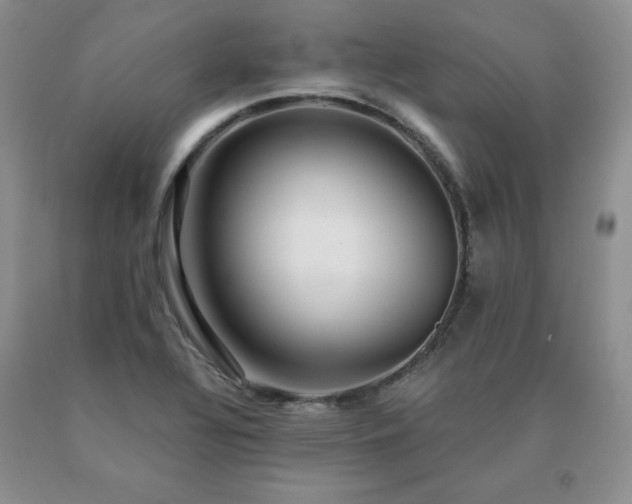 X0000091061320200708061234