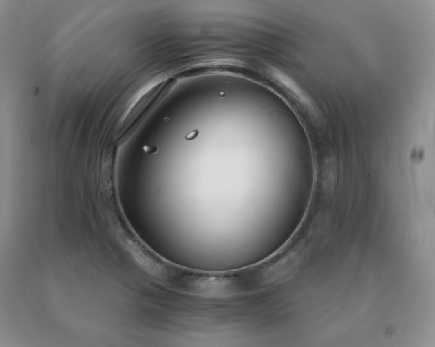 X0000091061321200708061234