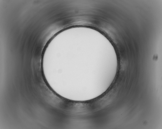 X0000091061322200708061234