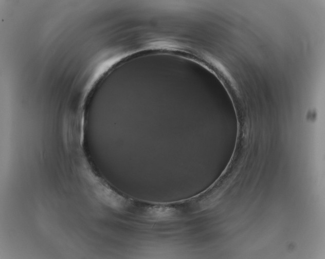 X0000091061323200708061234