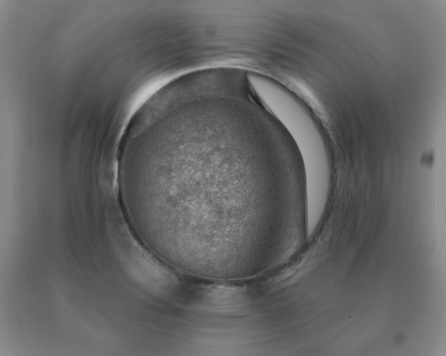 X0000091061324200708061234