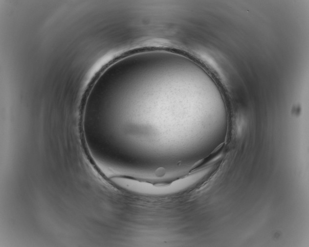 X0000091061326200708061234