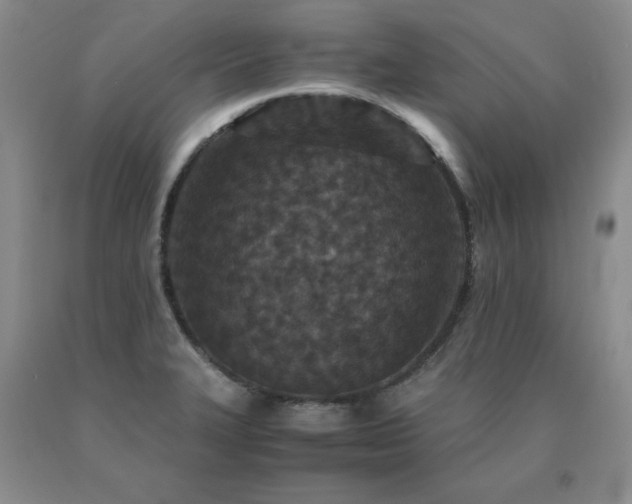X0000091061327200708061234