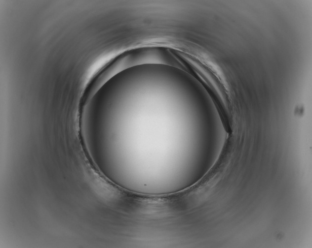 X0000091061328200708061234