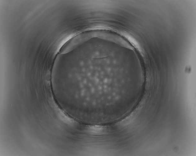 X0000091061329200708061234