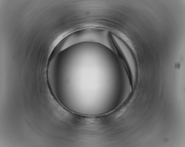 X0000091061330200708061234