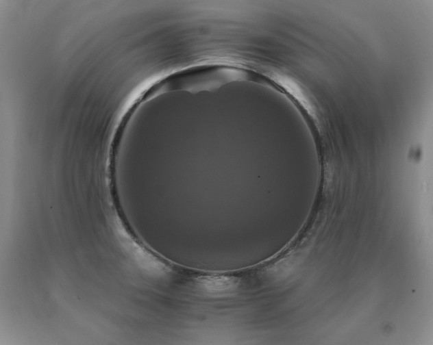 X0000091061331200708061234