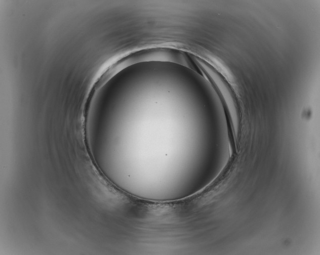 X0000091061332200708061234
