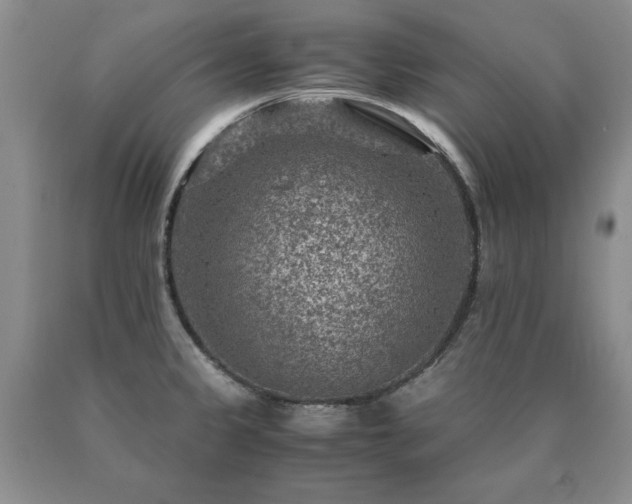 X0000091061333200708061234