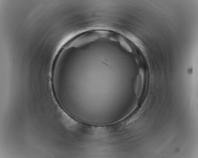 X0000091061334200708061234