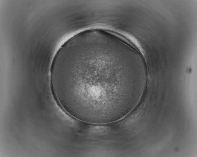 X0000091061335200708061234