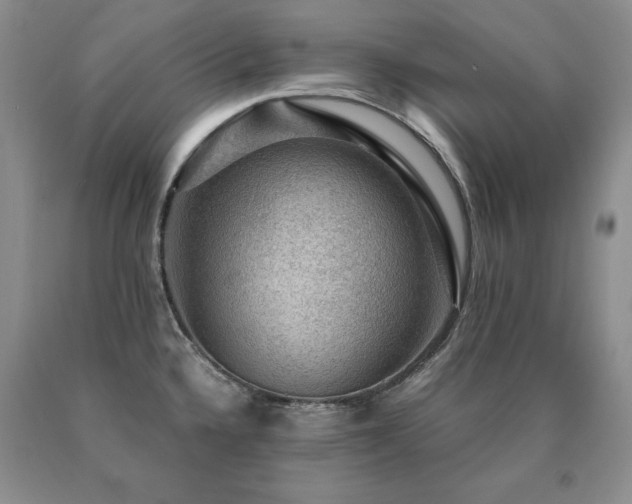 X0000091061336200708061234